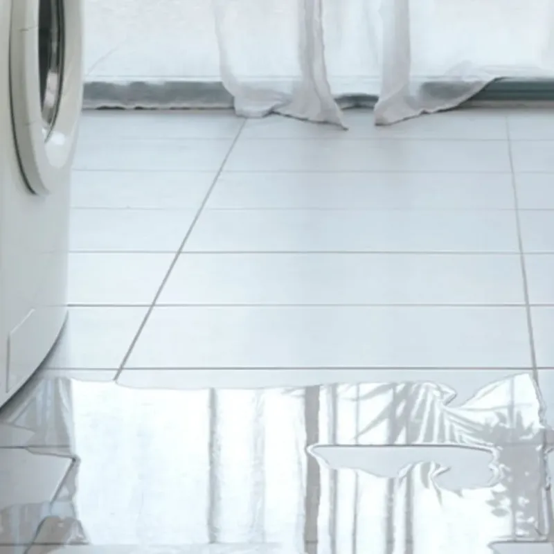 Appliance Leak Cleanup in Three Oaks, MI