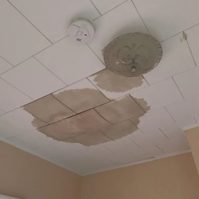 Ceiling Water Damage Repair in Three Oaks, MI