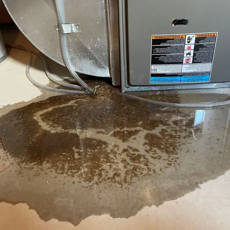 Pipe Burst and Leak Restoration in Three Oaks, MI